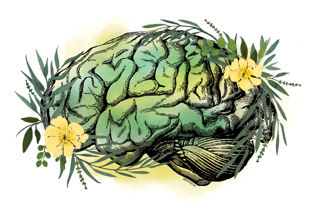 Textbook-like illustration of a brain as line-art. It rests on a green and yellow watercolor background. Green branches with leaves wind around it like a frame and two yellow flowers grow on the left and right side.